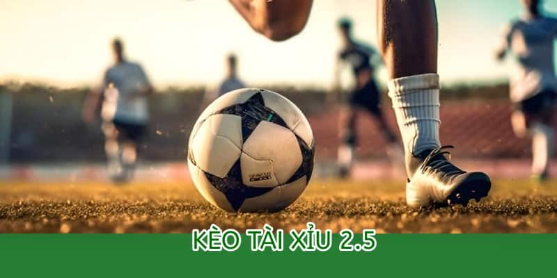 Cách đọc kèo Tài Xỉu 2.5 tại OK9 – Hướng dẫn chi tiết cho người mới 4 kèo tài xỉu 2.5